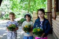 Летние флористические композиции Летние флористические композиции