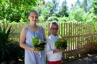 Летние флористические композиции Летние флористические композиции