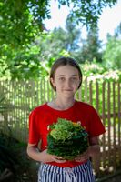 Летние флористические композиции Летние флористические композиции