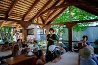 Летние флористические композиции Летние флористические композиции