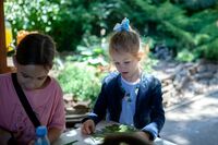 Летние флористические композиции Летние флористические композиции