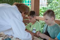 Лепка из глины Лепка из глины