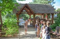 ЛОГОритмика ЛОГОритмика