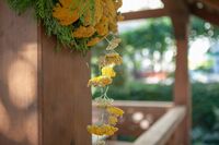 Украшение беседки Украшение беседки