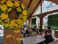 Виртуальное путешествие Виртуальное путешествие