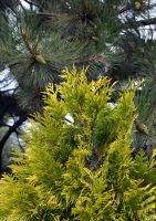 День памяти святого мученика Иоанна Воина День памяти святого мученика Иоанна Воина