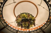 Преображение Господне