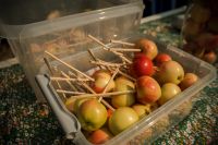 Преображение Господне