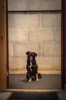 С Рождеством Пресвятой Богородицы!