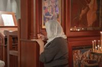 Визит схиархимандрита Илии (Ноздрина)