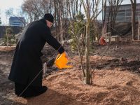 Многая лета! Многая лета!