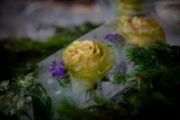 Со святым Богоявлением!