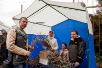 Праздник Входа Господня в Иерусалим