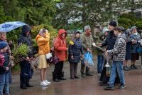 Праздник Входа Господня в Иерусалим