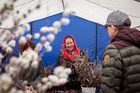 Праздник Входа Господня в Иерусалим