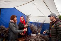 Праздник Входа Господня в Иерусалим