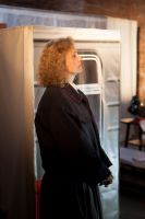 «Поезд в новогоднюю ночь»