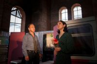 «Поезд в новогоднюю ночь»