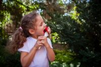 Преображение Господне