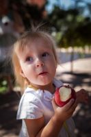 Преображение Господне