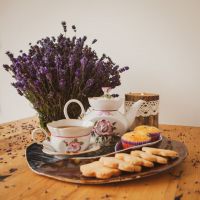 Лавандовые сезоны