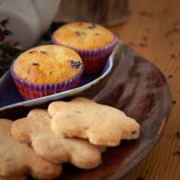 Лавандовые сезоны