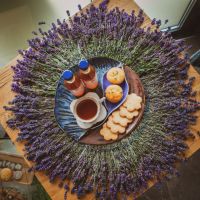 Лавандовые сезоны