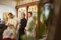 Самая волшебная ночь в году