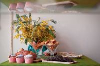 Весна пришла и в нашу приходскую кофейню