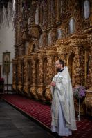 Богослужения Лазаревой субботы в соборе