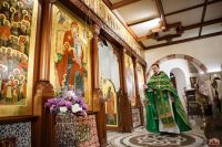 Праздник Входа Господня во Иерусалим