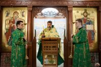 Праздник Входа Господня во Иерусалим