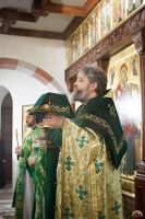 Праздник Входа Господня во Иерусалим