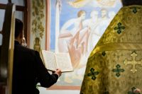 Праздник Входа Господня во Иерусалим