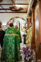 Праздник Входа Господня во Иерусалим