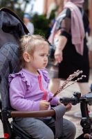 Праздник Входа Господня во Иерусалим