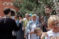 Праздник Входа Господня во Иерусалим