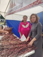 Праздник Входа Господня во Иерусалим