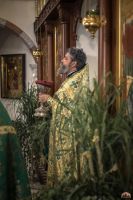 На нашем приходе молитвенно встретили день Святой Пятидесятницы!