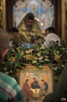 На нашем приходе молитвенно встретили день Святой Пятидесятницы!