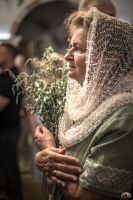 На нашем приходе молитвенно встретили день Святой Пятидесятницы!