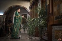 На нашем приходе молитвенно встретили день Святой Пятидесятницы!