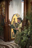 На нашем приходе молитвенно встретили день Святой Пятидесятницы!