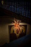 В Воскресенском войсковом соборе прошли богослужения навечерия Рождества Христова.