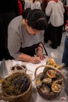 "Свет Рождественской звёзды"