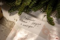 "Свет Рождественской звёзды"