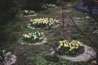 Самое время - гулять в нашем Георгиевском парке