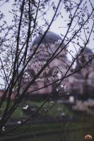 Самое время - гулять в нашем Георгиевском парке