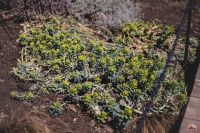 Самое время - гулять в нашем Георгиевском парке