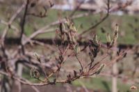Самое время - гулять в нашем Георгиевском парке